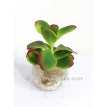 Beautiful mini artificial bonsai plant with glass pot for decor